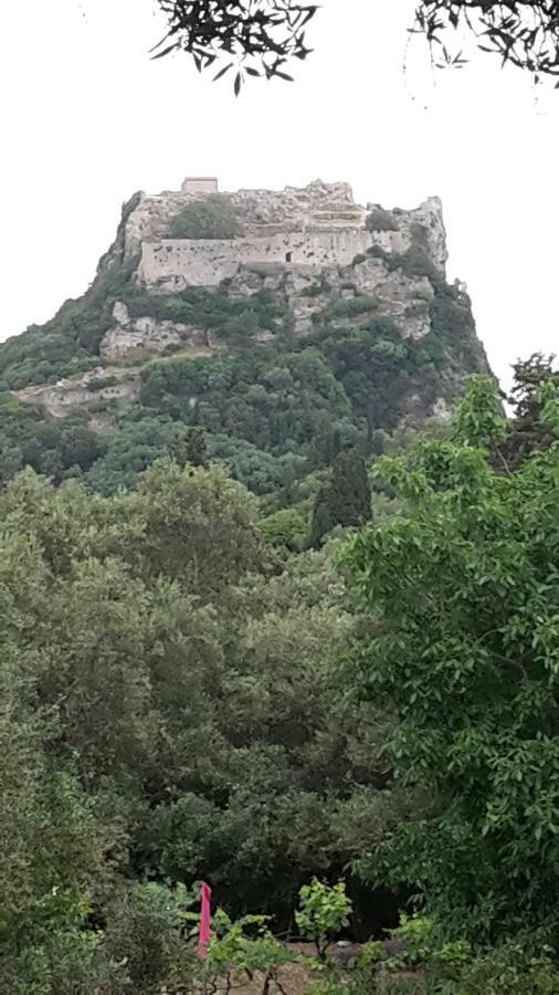 Archontiko Kourkoulos Makrádes Dış mekan fotoğraf