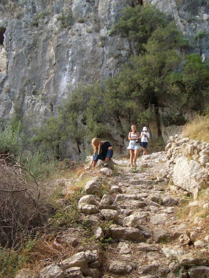 Archontiko Kourkoulos Makrádes Dış mekan fotoğraf